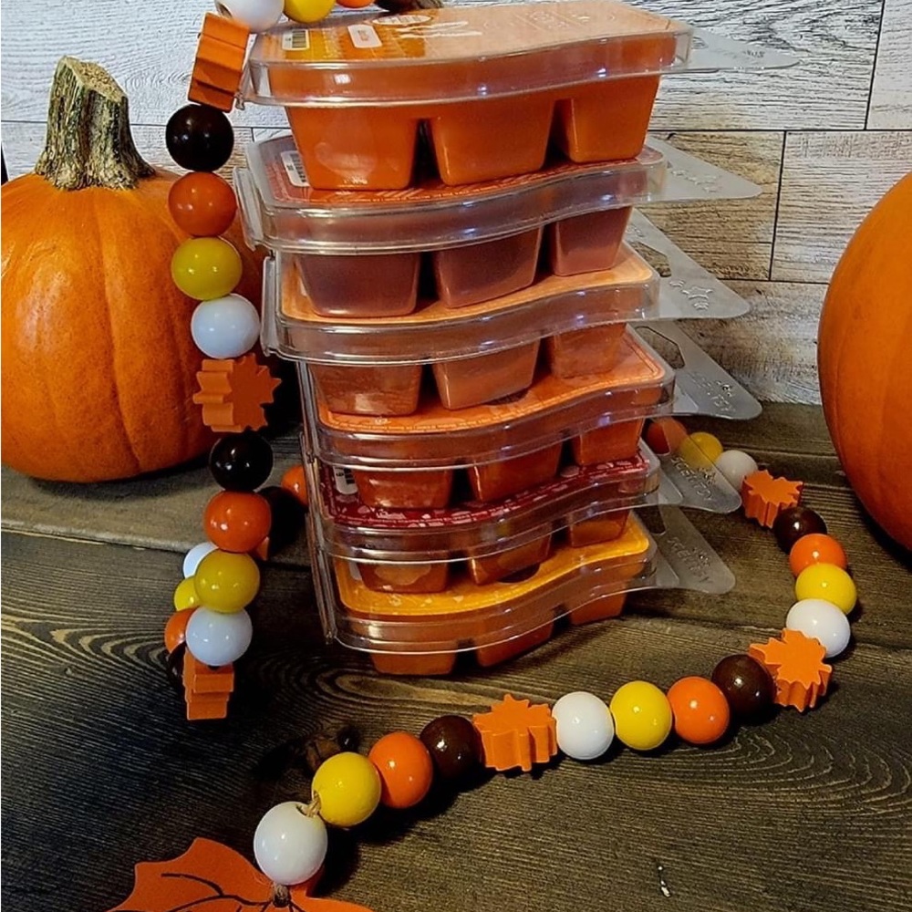 Scentsy fun fall themed mystery bag! This will have new scents and fan favorites - Picture 5 of 6